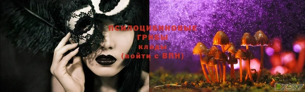 СК Бородино