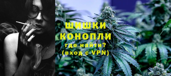 СК Бородино